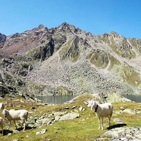 Nadine-3 By Interhome דירה זולדן